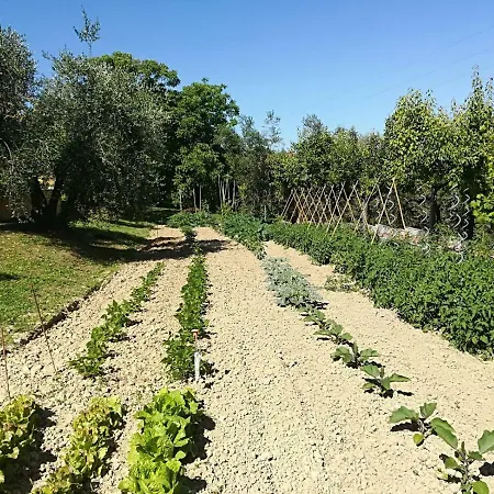 Chiara Villa